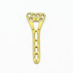 Medical Orthopedic Multi-Axial Distal Radius Medial Locking Plate for sale