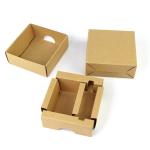 Biodegradable Eco Friendly Packaging Box Plastic Handle for sale