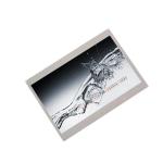 AA065VE01 6.5 Inch 640*480 LCD Screen Panel LCD Display Module for sale