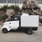 Lithium Battery Car Front Electric Four Wheeler Fast Charging System For Adults for sale
