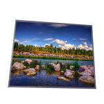 G190ETN01.6 19.0 inch High Brightness LCD Industrial Screen for sale
