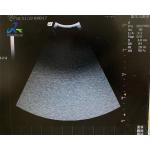 GE 8C-RS Ultrasound Probe Repair Service Acoustic Lens Replacement for sale