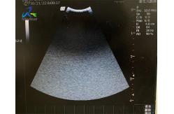 China GE 8C-RS Ultrasound Probe Repair Service Acoustic Lens Replacement supplier