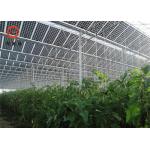 Industrial Monocrystalline Double Glass PV Modules 305W 60 Cells Transparent for sale