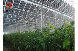 China Industrial Monocrystalline Double Glass PV Modules 305W 60 Cells Transparent supplier