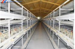 China Automatic Equipment Chicken Layer Cages Hot Dip Galvanized Steel Material supplier