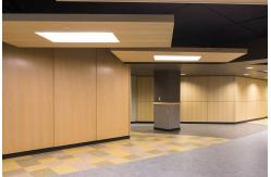 China Natural Oak Veneer Microperf Micro Perforated Acoustic Panel Customized supplier
