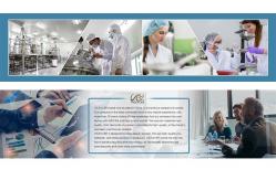China 6D Volume Lashes manufacturer
