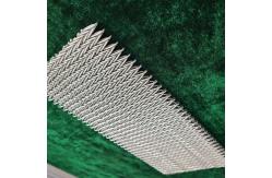 China                  Customized Roll Width Stainless Steel Wire Mesh Belt for Multiple Usage              supplier
