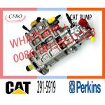 Fuel Injection Pump 317-8021 291-5919 for C6.6 Engine 320D 322D Excavator for sale