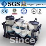 PSA Safe Concentrator Oxygen Generator / Industrial Application for Metal cutting for sale