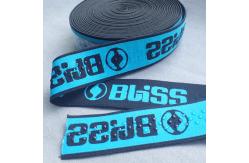 China silicon coated Non Slip Nylon 2.5cm Elastic Webbing Band supplier