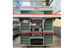 China Customized Multi Layer Poultry Cage Automatic Egg Collection Cages supplier