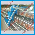 Hot Galvanizing Layer Chicken Cage Layer Poultry Equipment