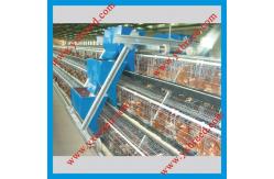 China Hot Galvanizing Layer Chicken Cage Layer Poultry Equipment supplier