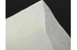 China Polyester Monofilament 420 Silk Screen Printing Mesh supplier