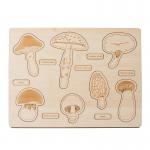 2 To 4 Years Mushroom Cognition Board Baby Developmental Exercises Hands On Ability for sale