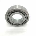 Double Row Cylindrical Roller Bearing NJ205 NJ206 NJ207 OEM Customized for sale