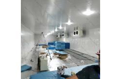 China Walk In Cold Room Freezer supplier
