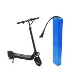 Amped 48v 24v 100ah Lithium Ion Battery for Electric Scooter for sale