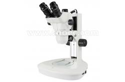 China Dental 45x 50x Stereo Zoom Microscopes LED Light Source Microscope A23.0808 supplier