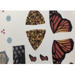 Professional Sealing Waterslide Decals , Transfer Decals For Furniture for sale