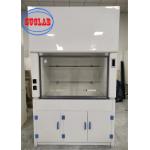 Vertical Sliding Sash Type Laboratory Fume Cupboard For Clean Lab Environment for sale