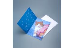 China High Quality Factory Wholesale Custom Printing 3D Motion Effect Lenticular Card supplier