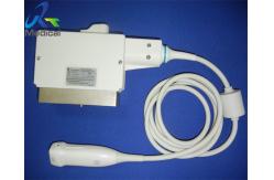 China GE 3S Sector Array Ultrasound Transducer Probe Hospital Medical Scanning Machine supplier