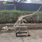 Highly Detailed Outdoor Decor Resin Dinosaur Skeleton Replica T-Rex Skeleton for sale