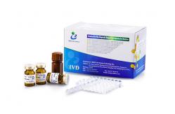 China LDH X Kit For Determination LDH-X Level Semen supplier