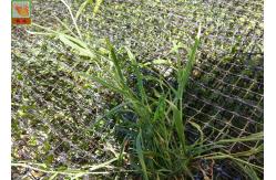 China High Strength Three Dimensional Geomat Erosion Control Netting 300g /Sqm supplier