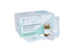 China Adult Males ROS Assay Kit Sperm Reactive Oxygen Species Assay Kit NBT Method supplier