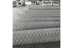 China Woven Sliver Protection Road Iron Galvanized Hexagonal Wire Mesh supplier