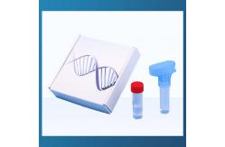 China ISO13485 NMPA DNA Saliva Collection Kit For Diagnostic Testing supplier