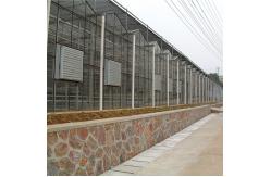 China Advanced Glass Greenhouse For Optimal Light Transmission And Heat Preservation supplier
