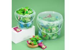 China High Performance PP/HDPE Material Food Grade Bucket With Handle supplier