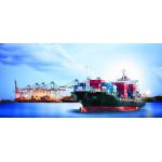 China To Brisbane Australia DDP Door To Door Sea Shipping for sale