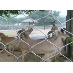 Monkey tiger enclosure mesh zoo Animal enclosure mesh netting ferruled cable netting mesh
