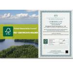 Custom Translucent Eco Friendly Logo Printed Paper Bags