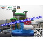 Bounce House Charming Inflatable Slide , Kids Inflatable Water Slides Pool