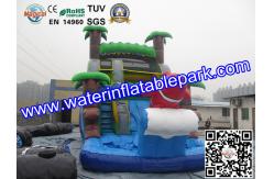 China Bounce House Charming Inflatable Slide , Kids Inflatable Water Slides Pool supplier