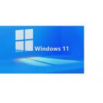 Microsoft Windows 11 Activation Key With Hologram Coa Sticker Win 11 Pro Key for sale