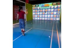 China Interactive Projection Badminton Hall Simulates Automatic Launching Throwing Machine supplier