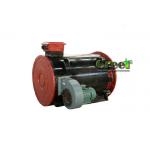 AC Permanent Magnet Generator NdFeB Magnet Type For Wind Power Hydro Turbine for sale