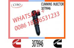 China Fuel Injector 3079946 3411821 3087648 3018835 for cum-mins NTA855 supplier