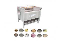 China 304SUS Simple Automatic Conveyor Vegetable Washing Machine In Kenya supplier