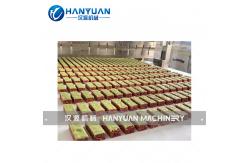 China Double Layer Protein Bar Production Line supplier