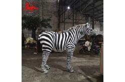 China Manual Control Realistic Animatronic Zebra Customized Available supplier