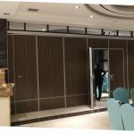 Sound Insulated Operable Movable Partition Walls System For Sri Lanka Conference Hall for sale